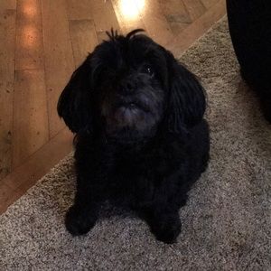 Meet your Posher, Sara